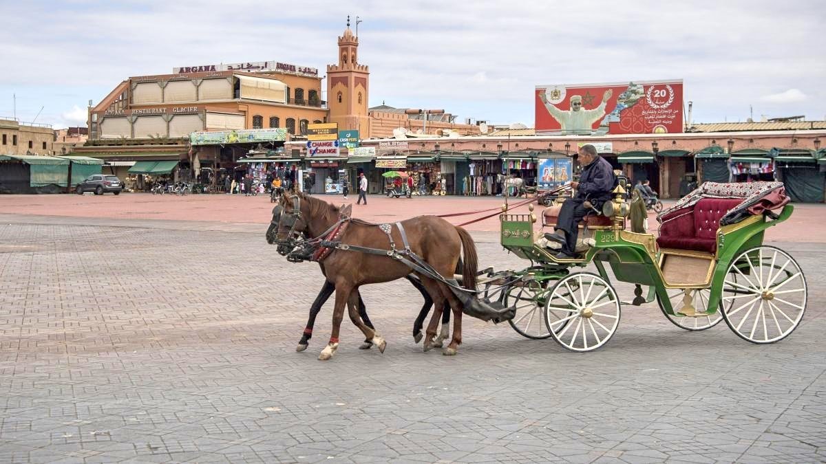 Marrakech can’t breathe without you